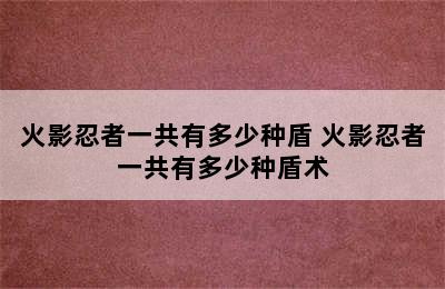 火影忍者一共有多少种盾 火影忍者一共有多少种盾术